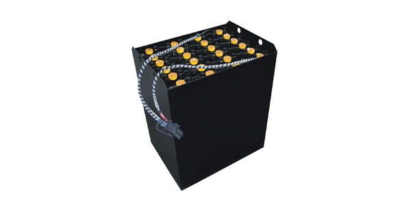 Leoch Traction Battery 